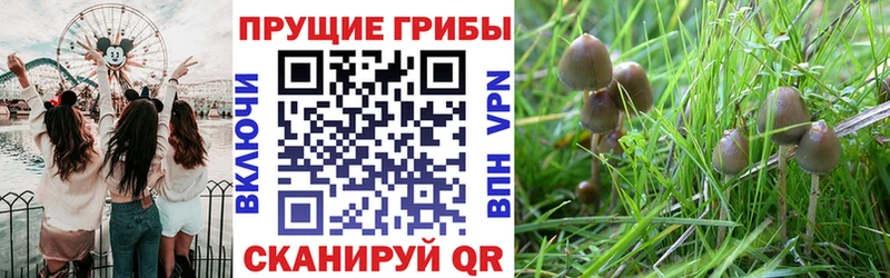 Галлюциногенные грибы Magic Shrooms  дарнет шоп  Усолье 